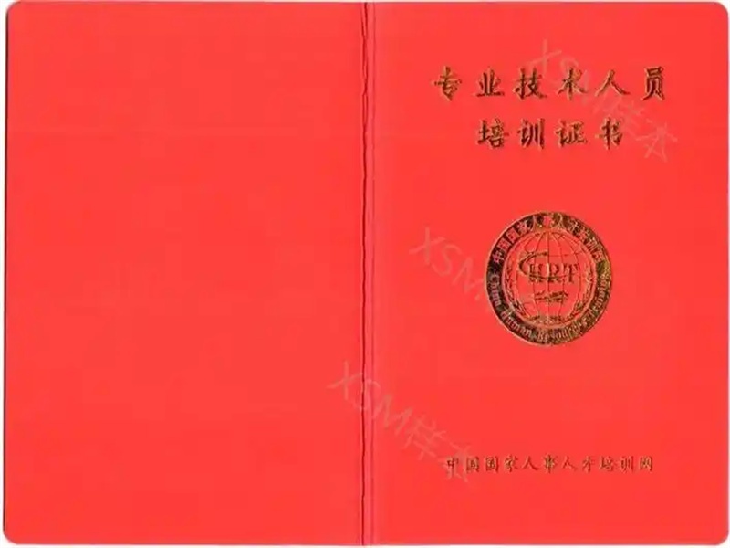 体检报告制作