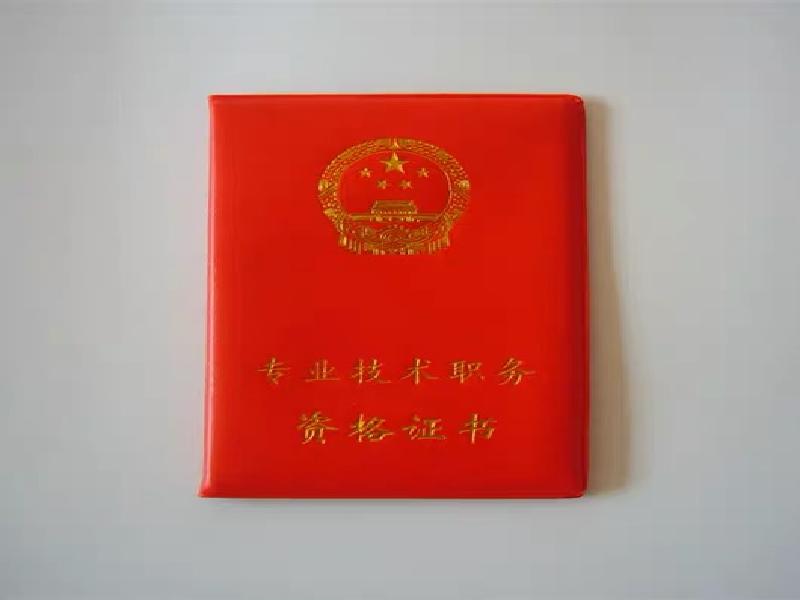 证件照片拍摄与排版的注意事项